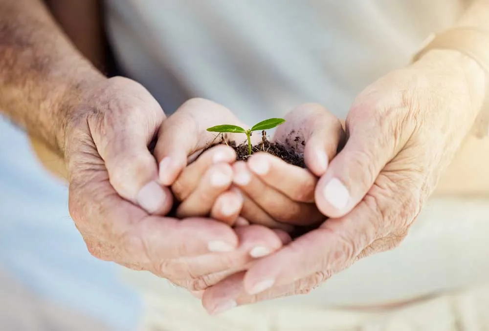 Elderly hands holding a child’s hands with a seedling and soil, symbolizing growth and generational care.
